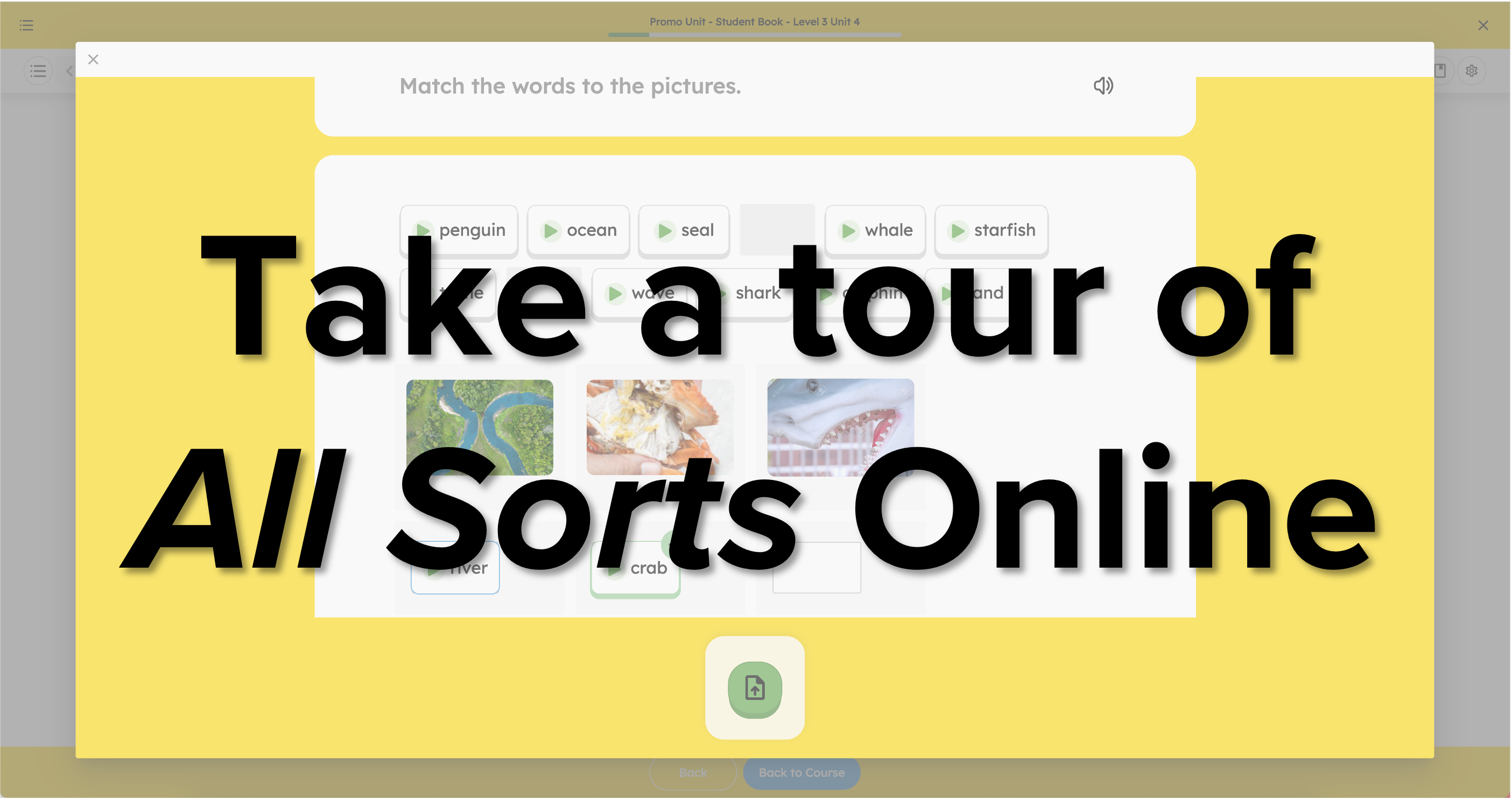 Click here to take a tour of All Sorts online
